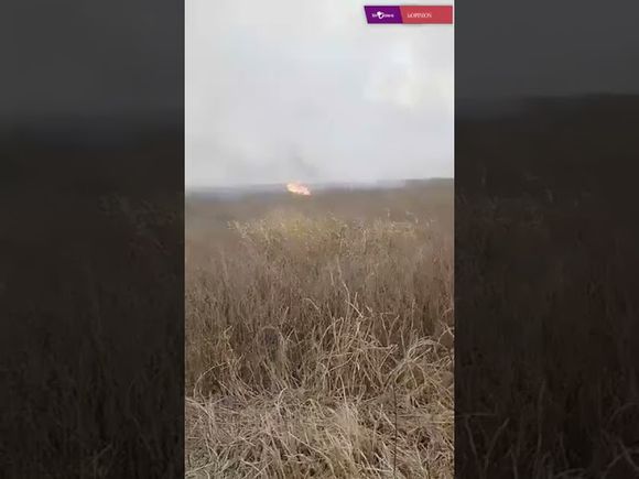 El reclamo de isleros ante los incendios: “Hace dos años que vienen quemando”