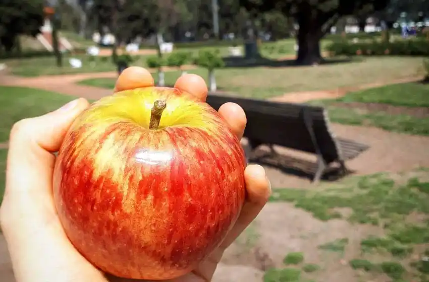 #ElPuenteSaludabe: pequeños grandes cambios para la primavera
