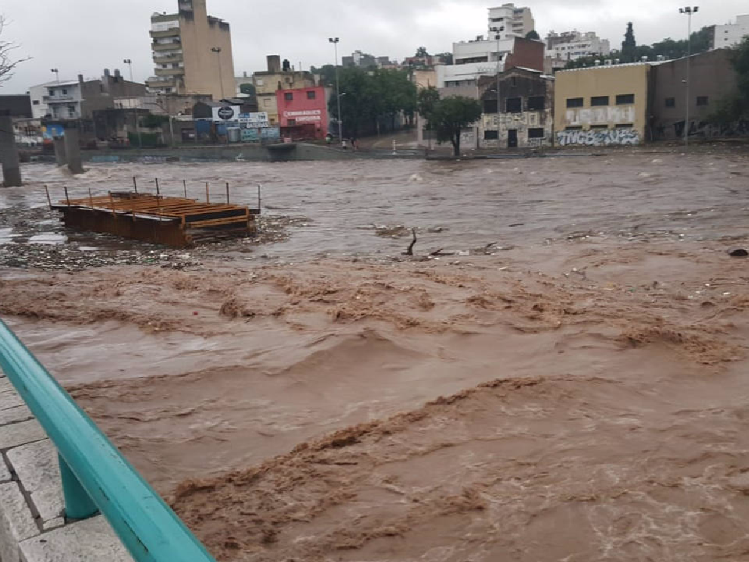 La lluvia en Córdoba dejó zonas anegadas y árboles caídos