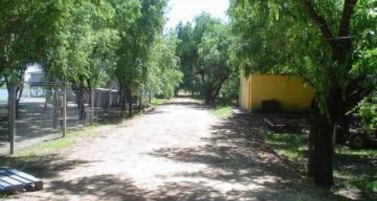 La lluvia demora la apertura del nuevo paseo