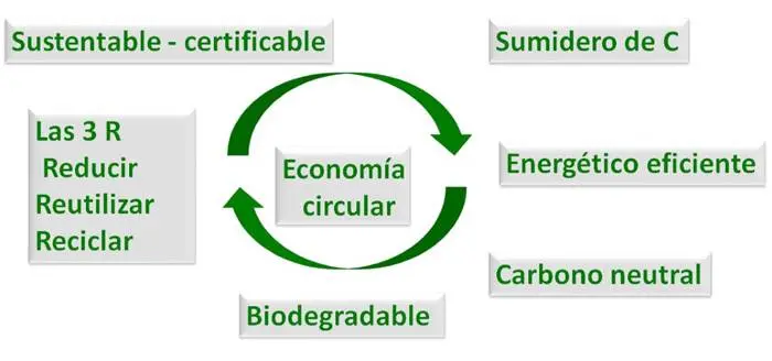 La madera  �Sel biomaterial⬝