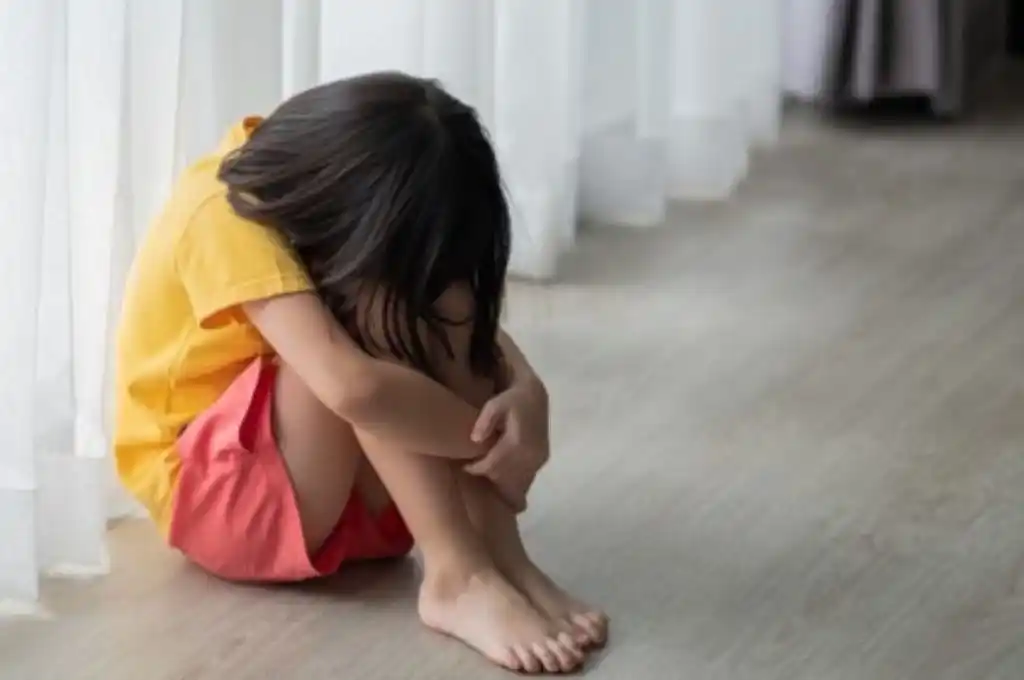 Tiene 3 años y deberá regresar a Francia con su padre denunciado por violencia