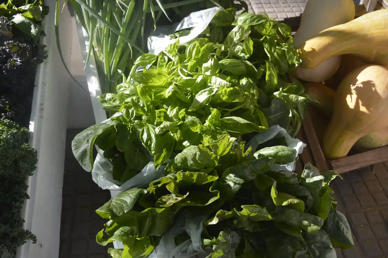 Un grupo familiar necesitó $57.997,48 para no caer debajo de la línea de la pobreza