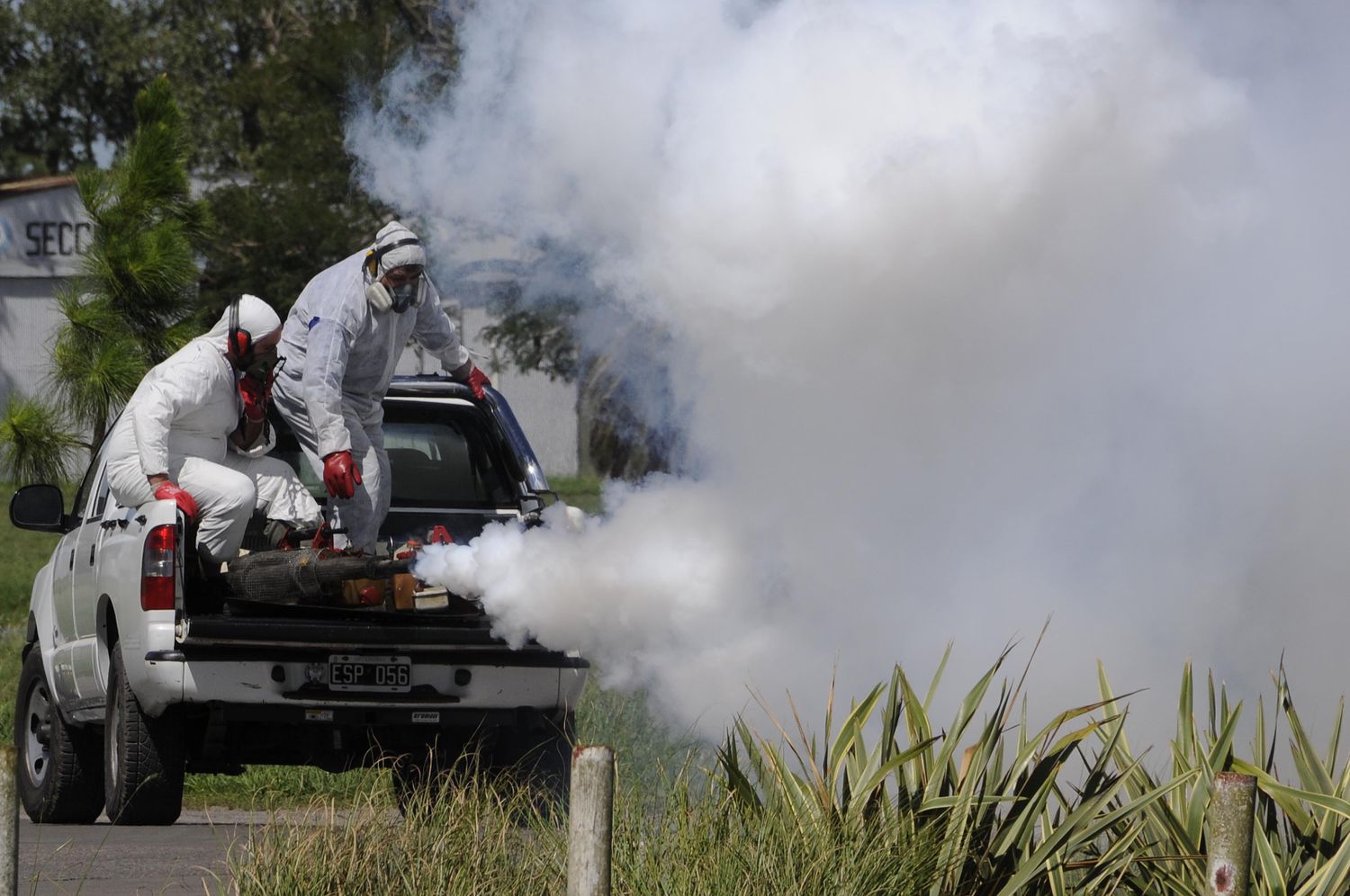 Harán fumigaciones en múltiples espacios abiertos de Rosario