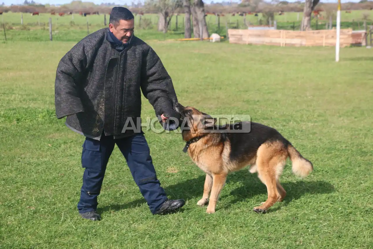 perro policia - 1