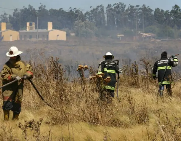 Taller para prevenir incendios forestales