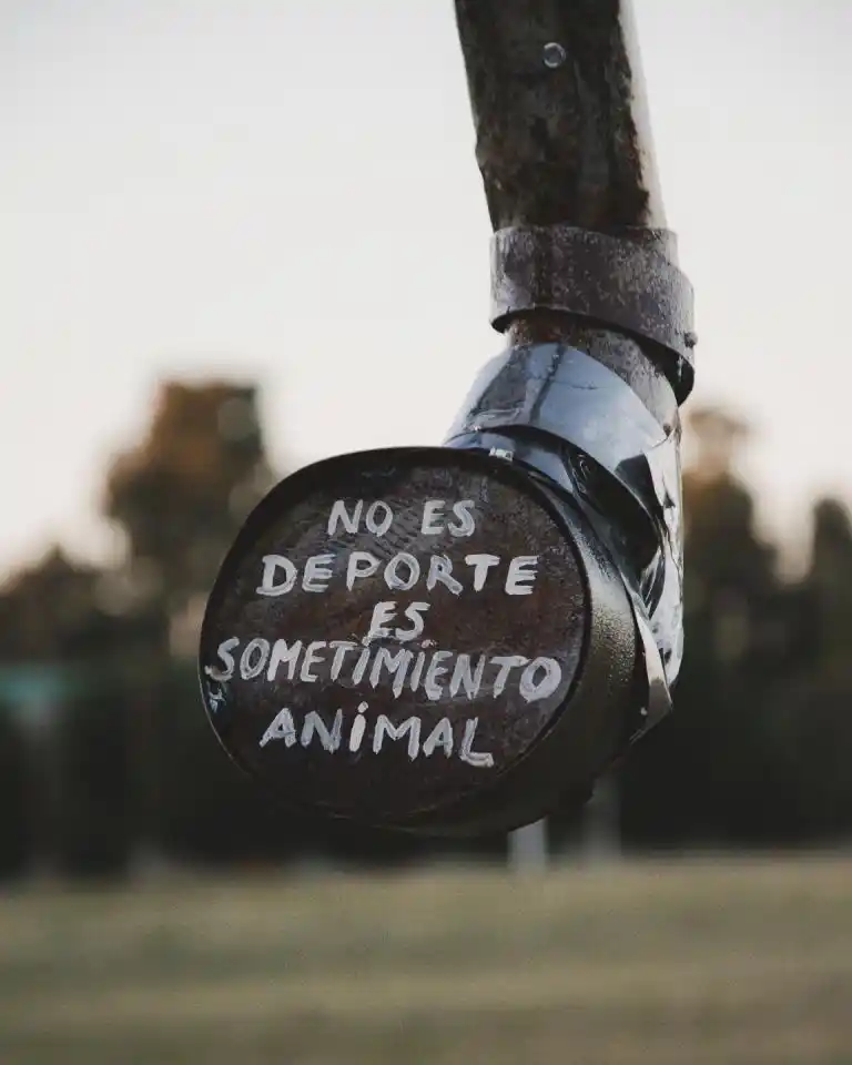 Mensajes - 1