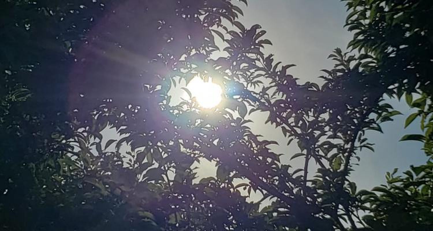 Ola de calor: en la zona aún no llega a los registros de 2013 pero hay que tomar precauciones