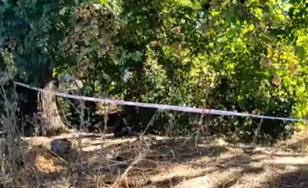 El descampado donde hallaron los cuerpos de Paloma y Josué en Florencio Varela.