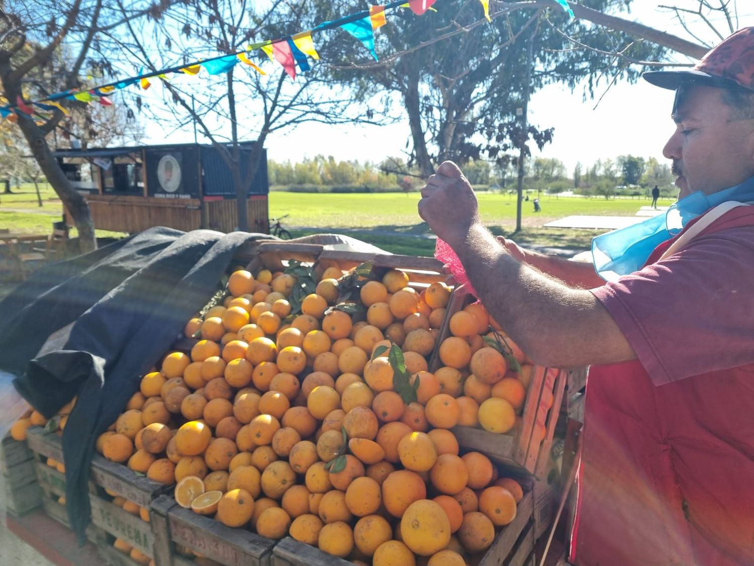 Las naranjas y mandarinas, uno de los puestos preferidos del Paseo Público atendido por un sampedrino.