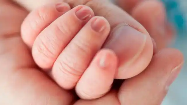 Un gato le comió tres dedos a un bebé mientras dormía