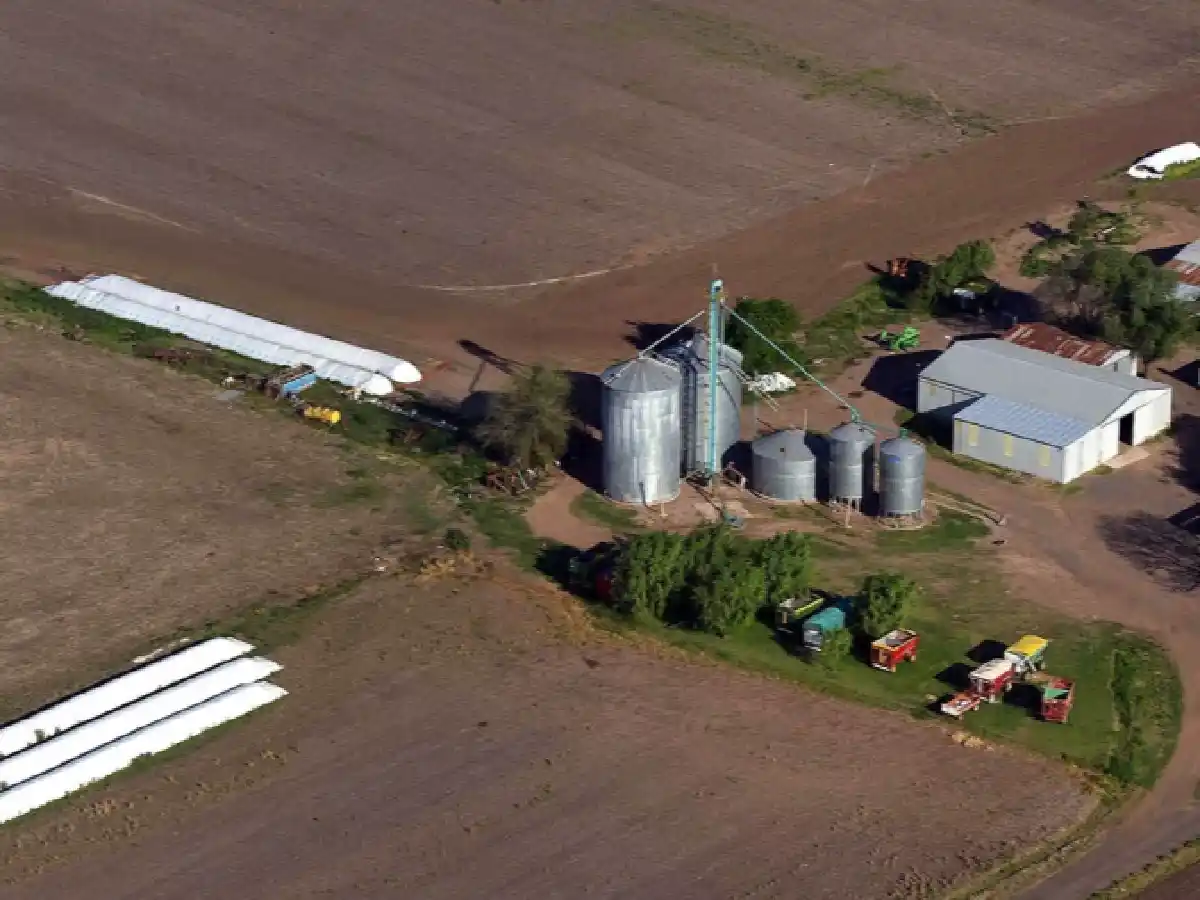 La baja de commodities acelerará la liquidación de divisas del agro, según economistas