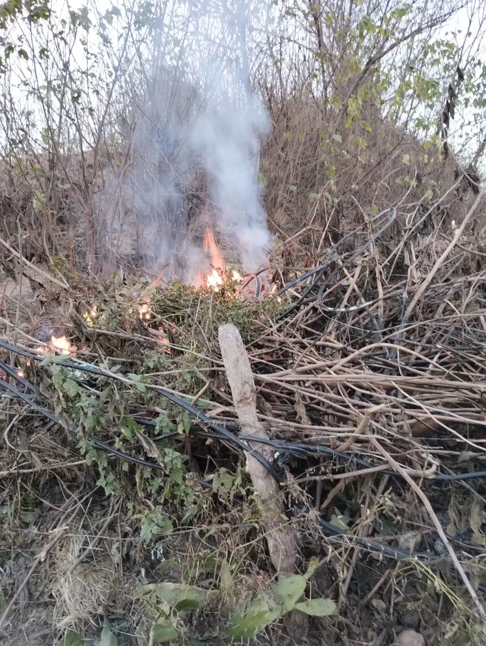 Fuego barrancas Néstor Kirchner