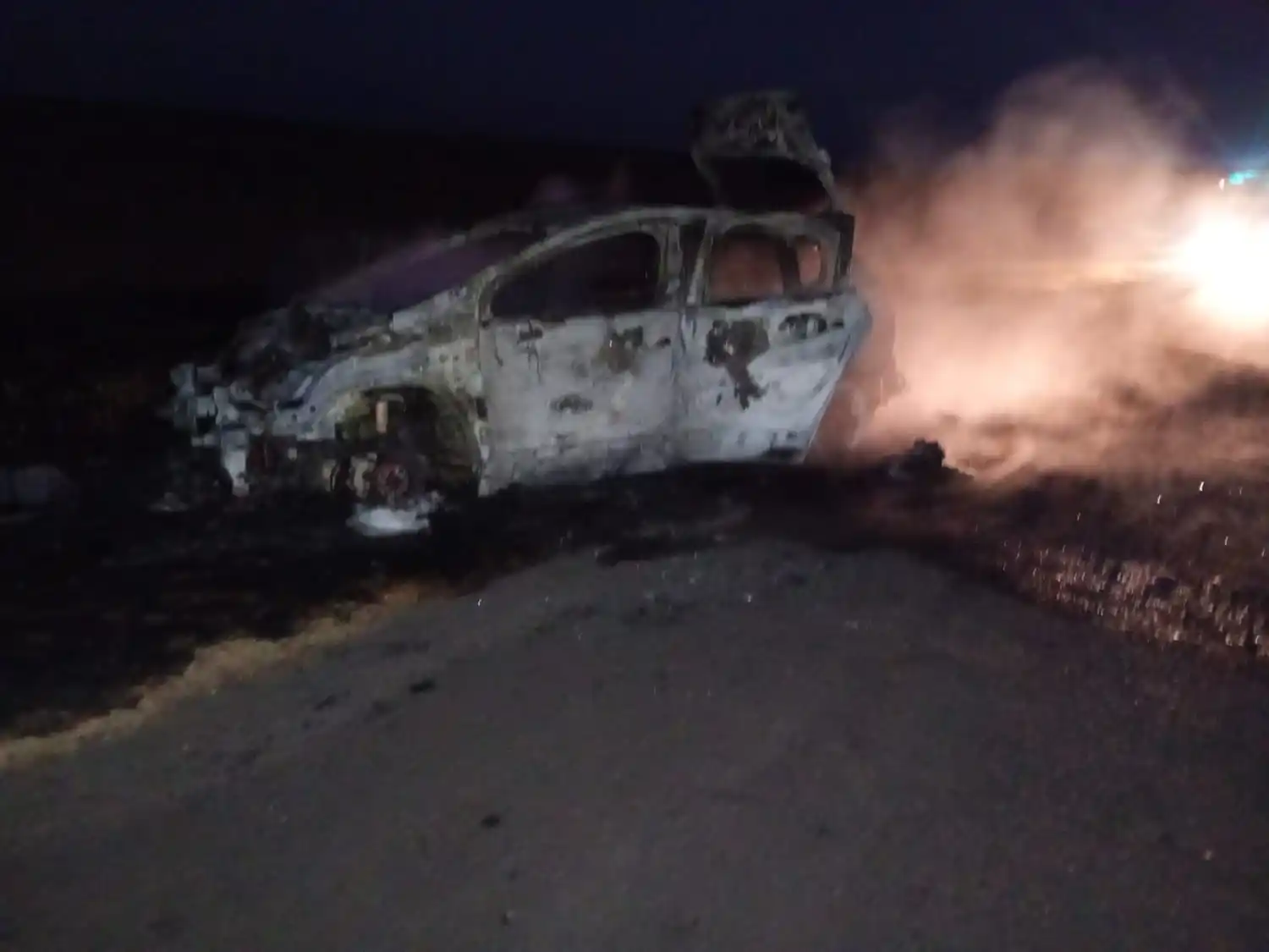 Un auto fue completamente devorado por las llamas y provocó el incendio de pastizales en la ruta 14