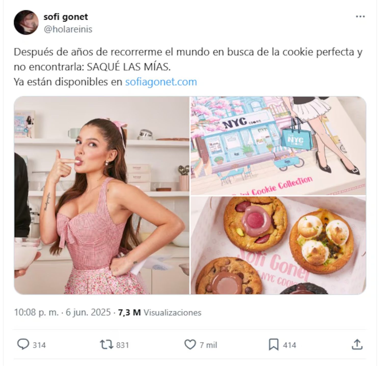 Sofía Gonet se mostró entusiasmada por sus galletitas dulces pero los usuarios la criticaron por el precio. (Foto: captura X/holareinis)