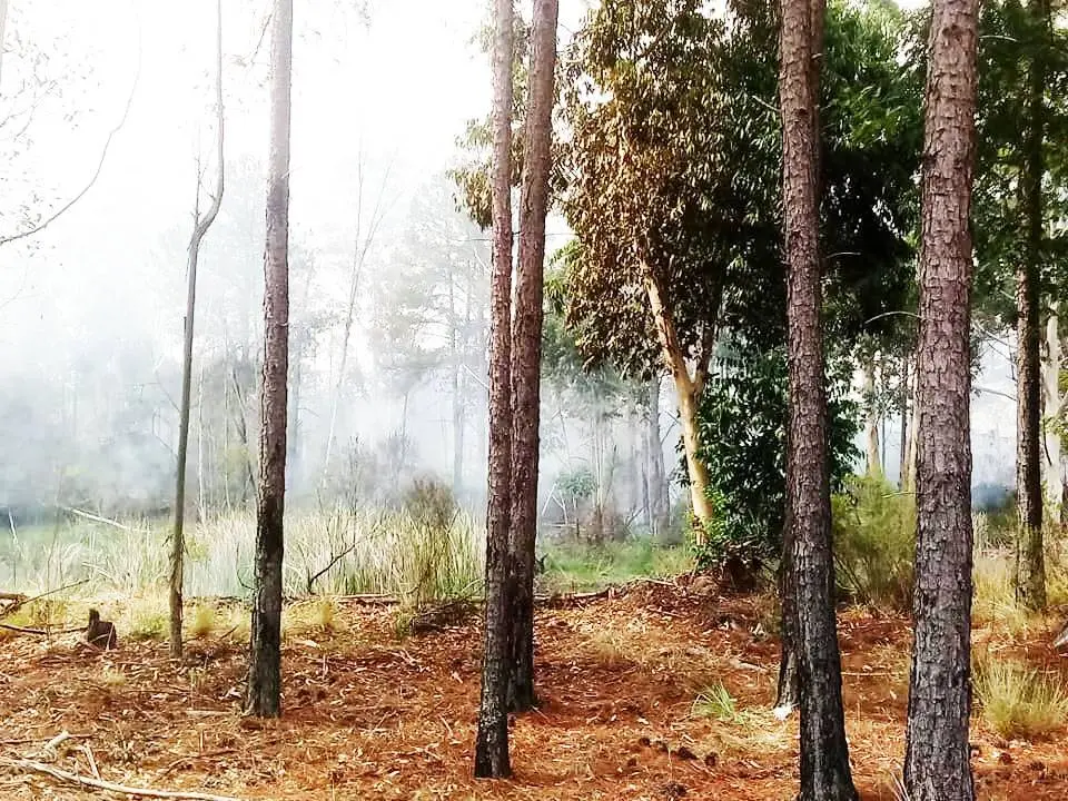Varios incendios con intervención de Bomberos. Un tractorista con quemaduras