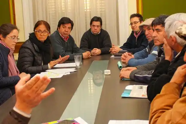 Determinarán si en las domas y jineteadas se maltrata a los animales