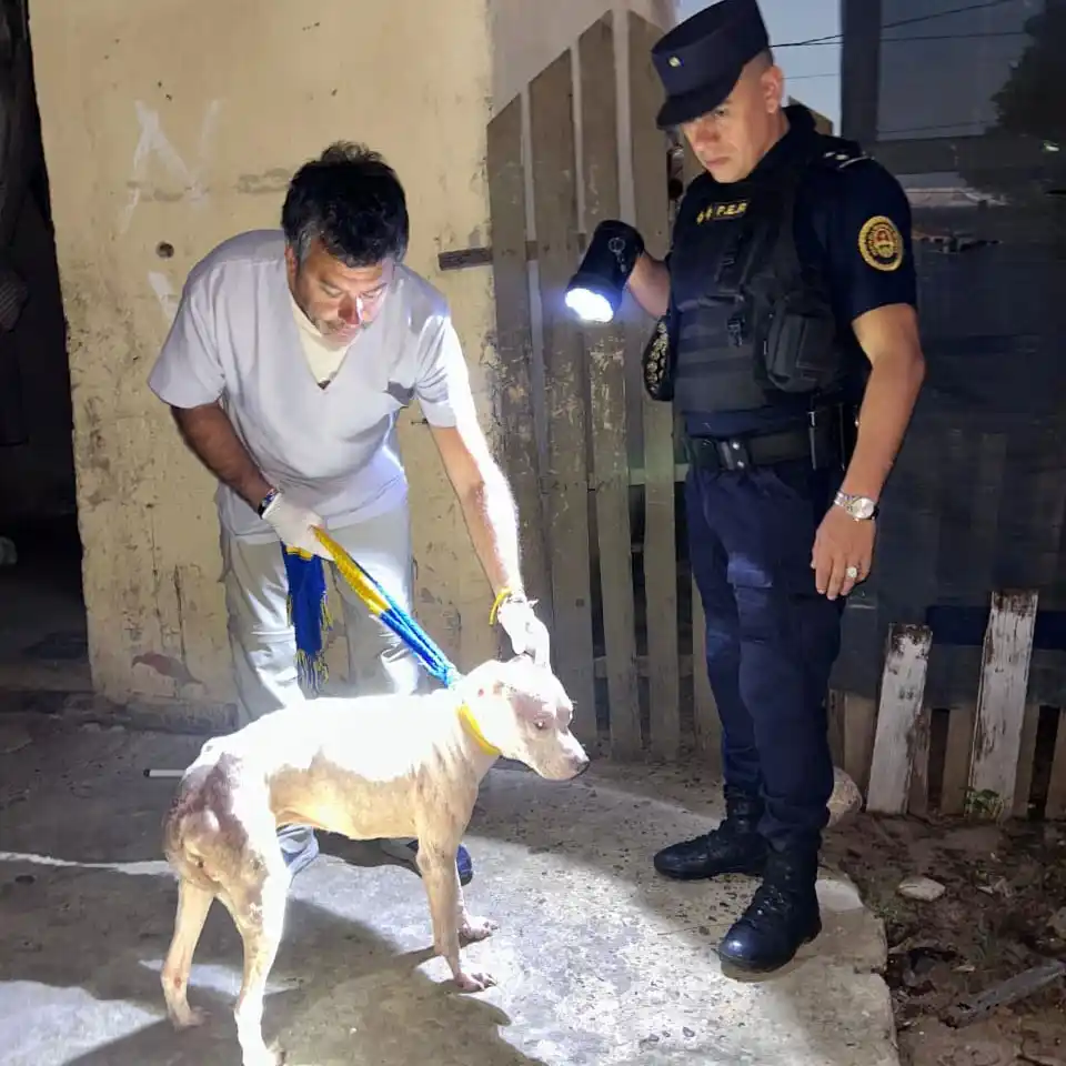 La Policía rescató a un perro en estado de abandono