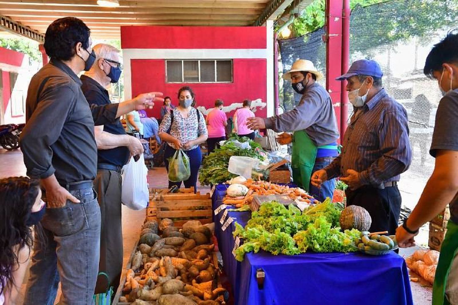 “Hoy es el pequeño productor el que provee
a la mesa de los formoseños con calidad”