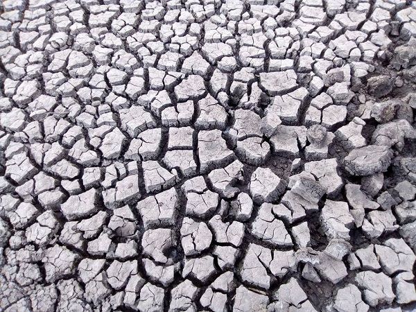 Una seca difícil de doblegar