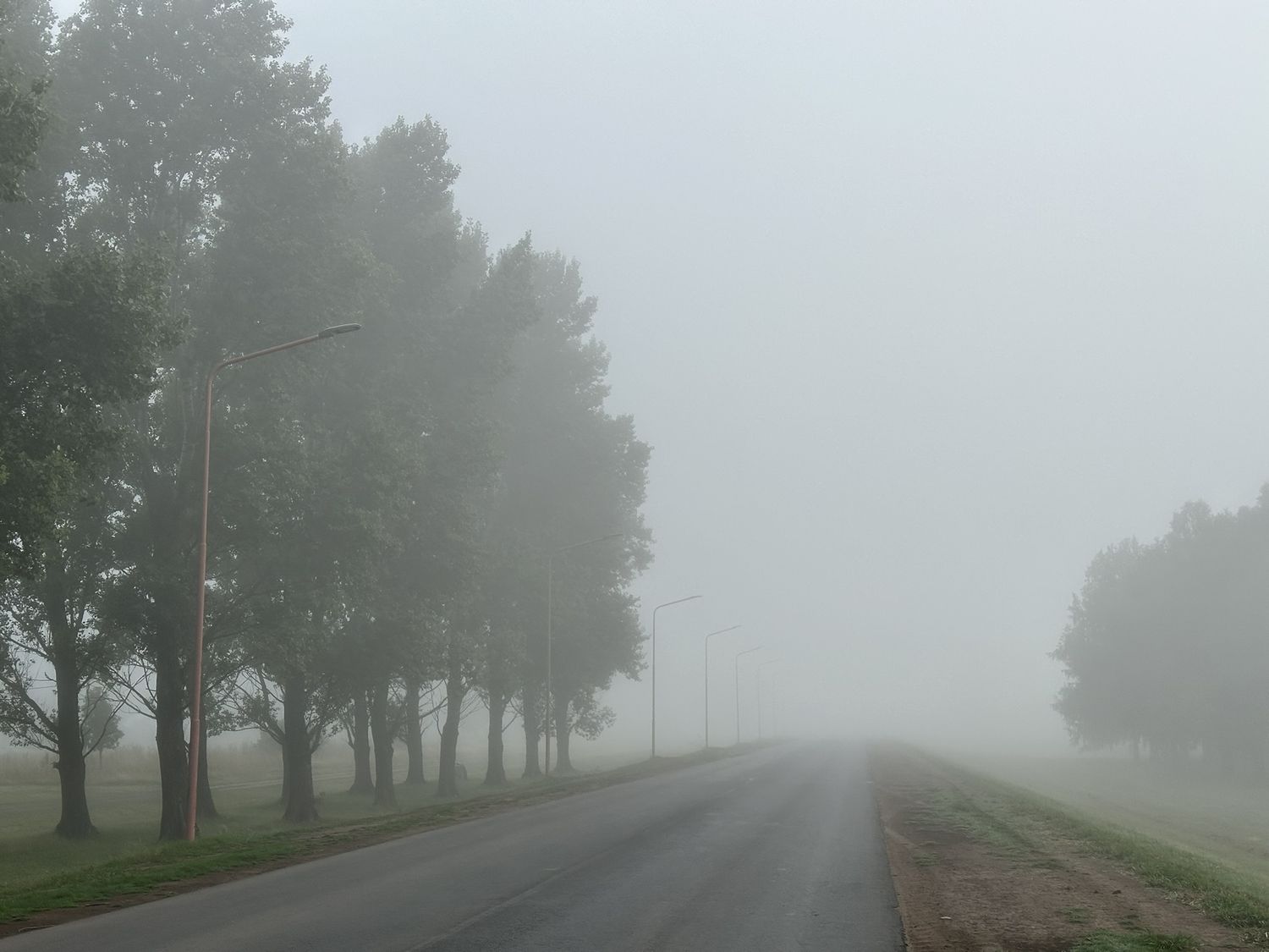 Así se veía promediando las 7 de la mañana la ruta 90 a la altura de la localidad de Elortondo