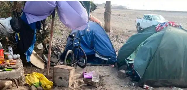 ¡SE LO COMIERON A LA PARRILLA! Presos dos venezolanos por cazar un lobo marino en una playa de Chile