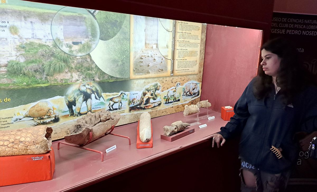 Museos. Para visitar durante la Semana Santa