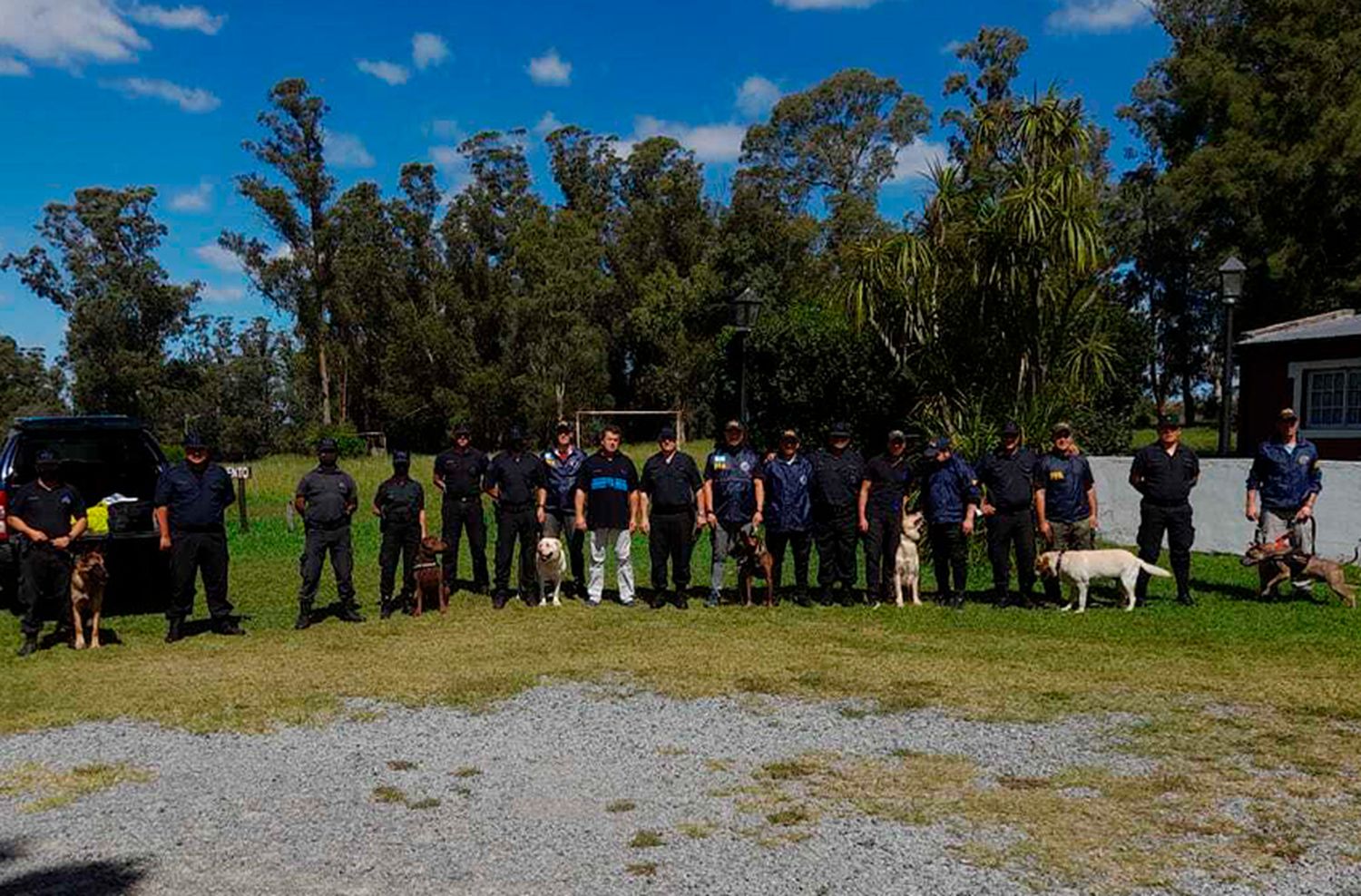 Recertificación de canes detectores de drogas en Tandil