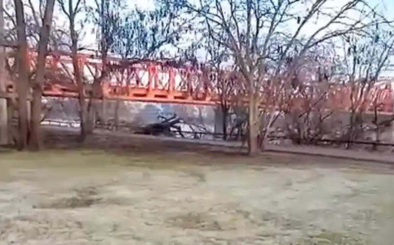 Impactantes imágenes del frío en Entre Ríos: helada en Gualeguaychú y un río congelado en Gualeguay