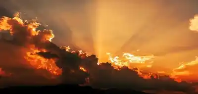 Fe