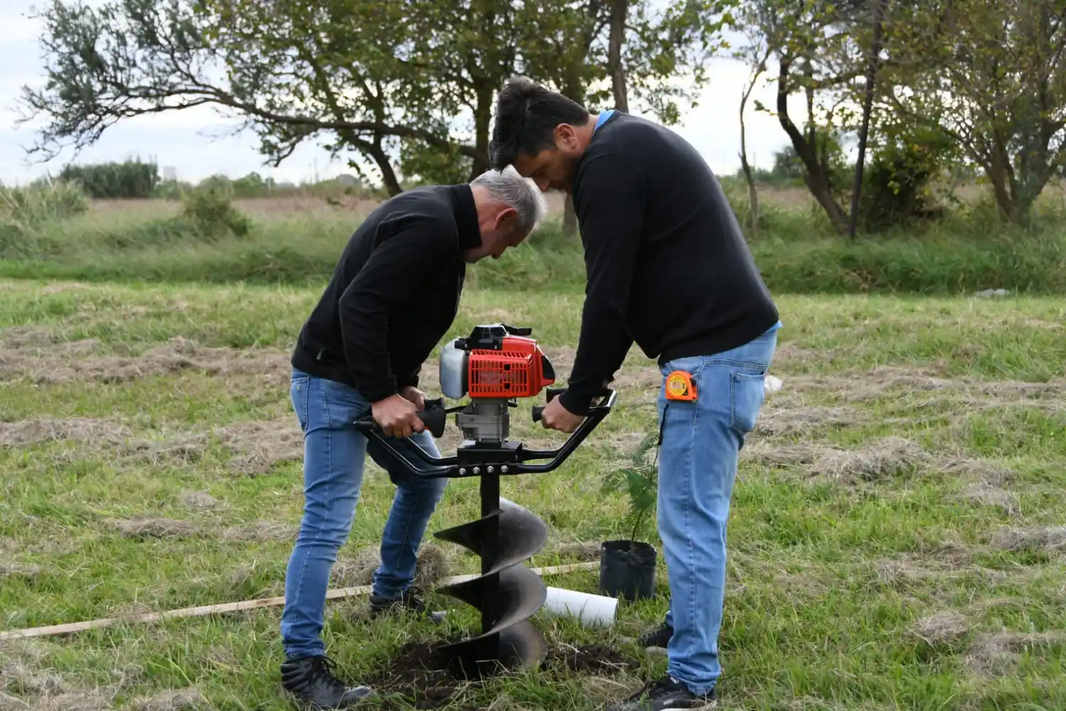 reforestación de la Costanera Norte