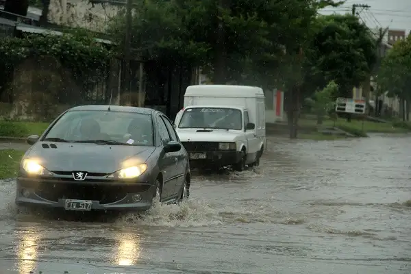 Temporal de lluvia y ráfagas de más de 80 km/h produjo daños en la ciudad