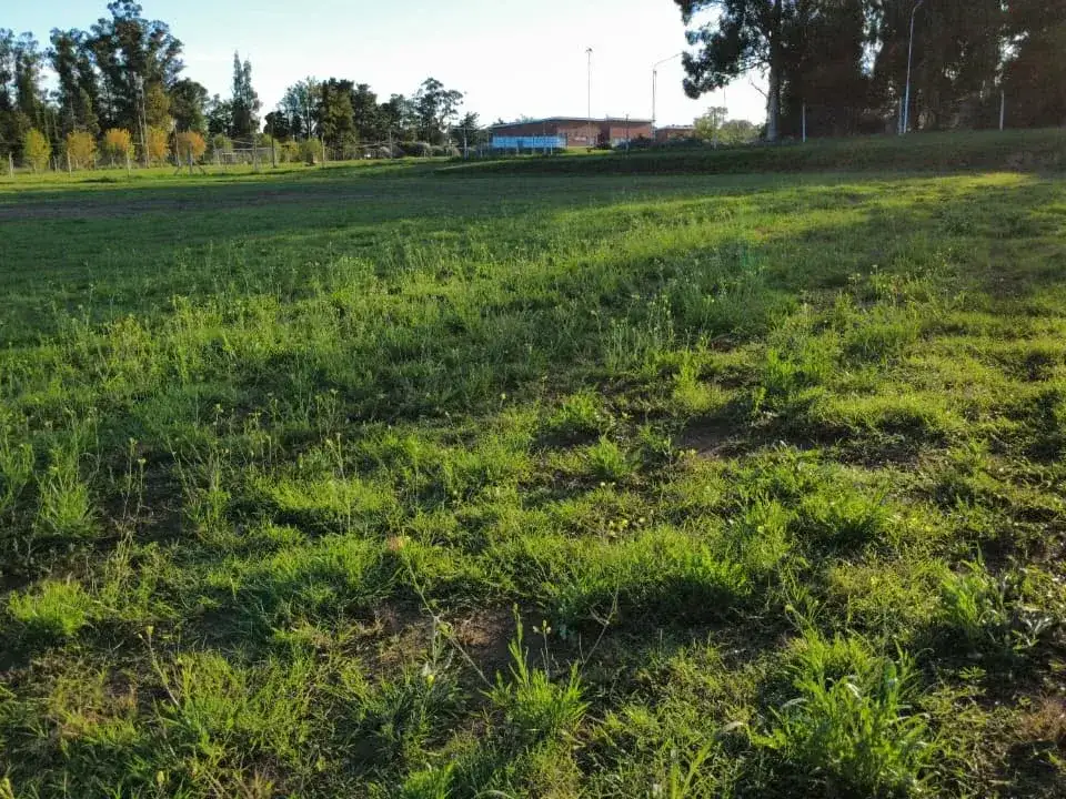 Cancha Campus Universitario - 3