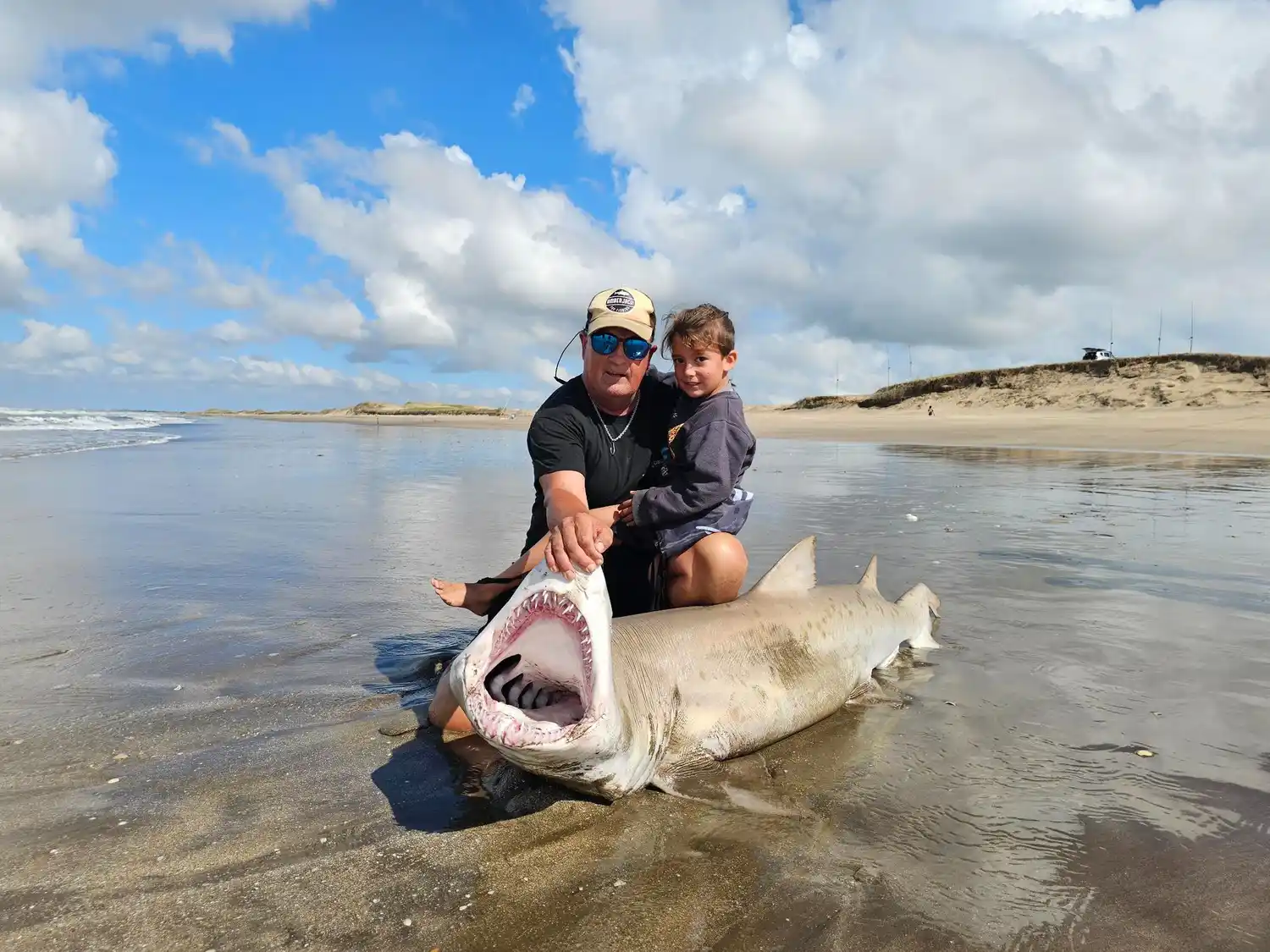 tiburones