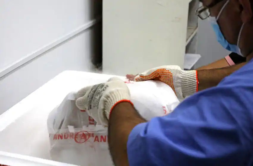 Indemnizarán con 19 millones de pesos a la viuda de un trabajador de la salud que murió por coronavirus