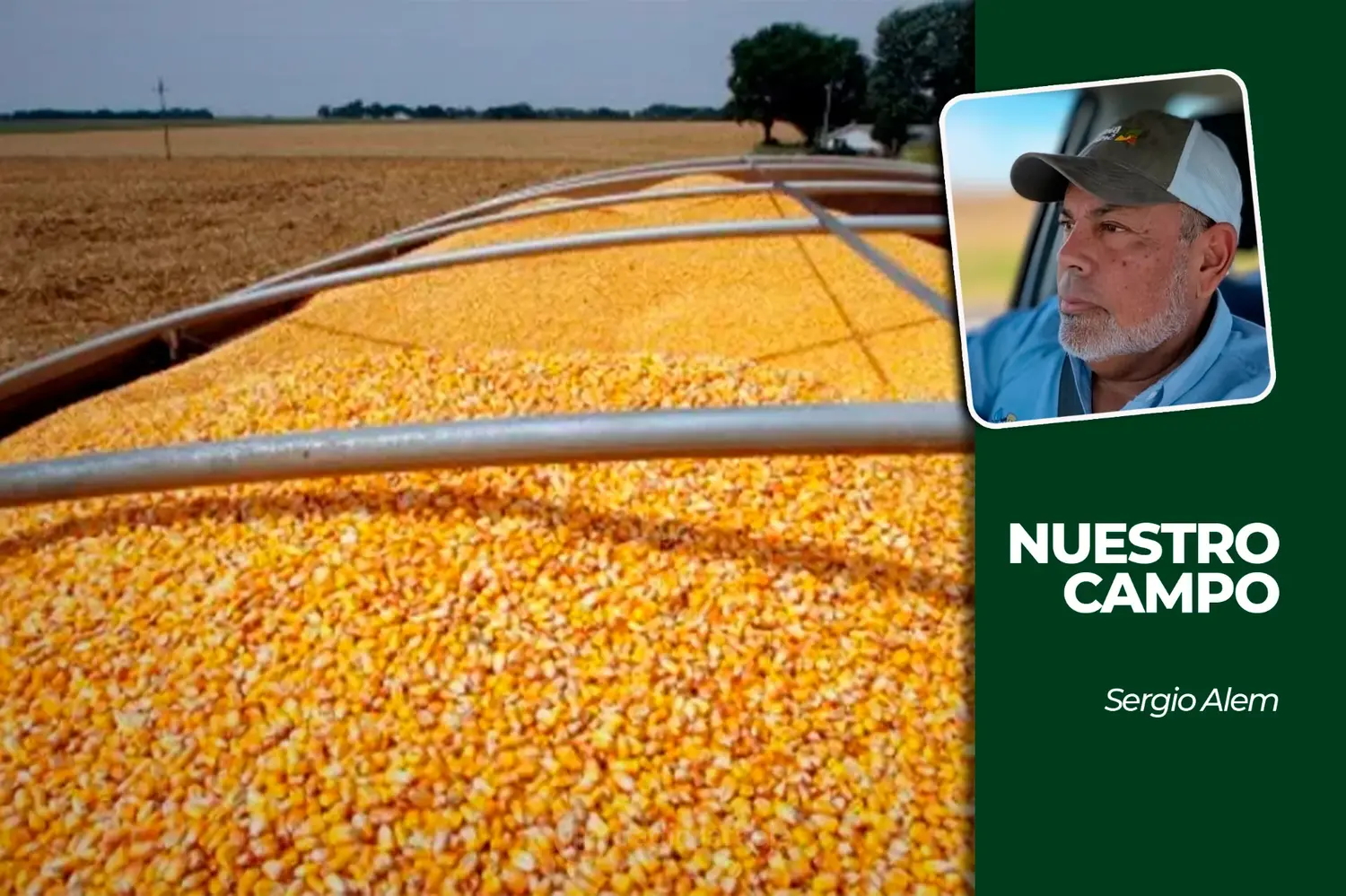 Cañuelas no registró ingresos y la soja cotizó a 555.000 pesos por tonelada