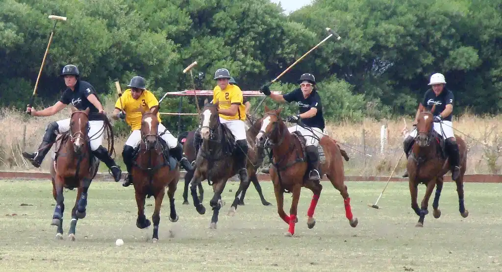 El polo disputa su Copa de Bronce