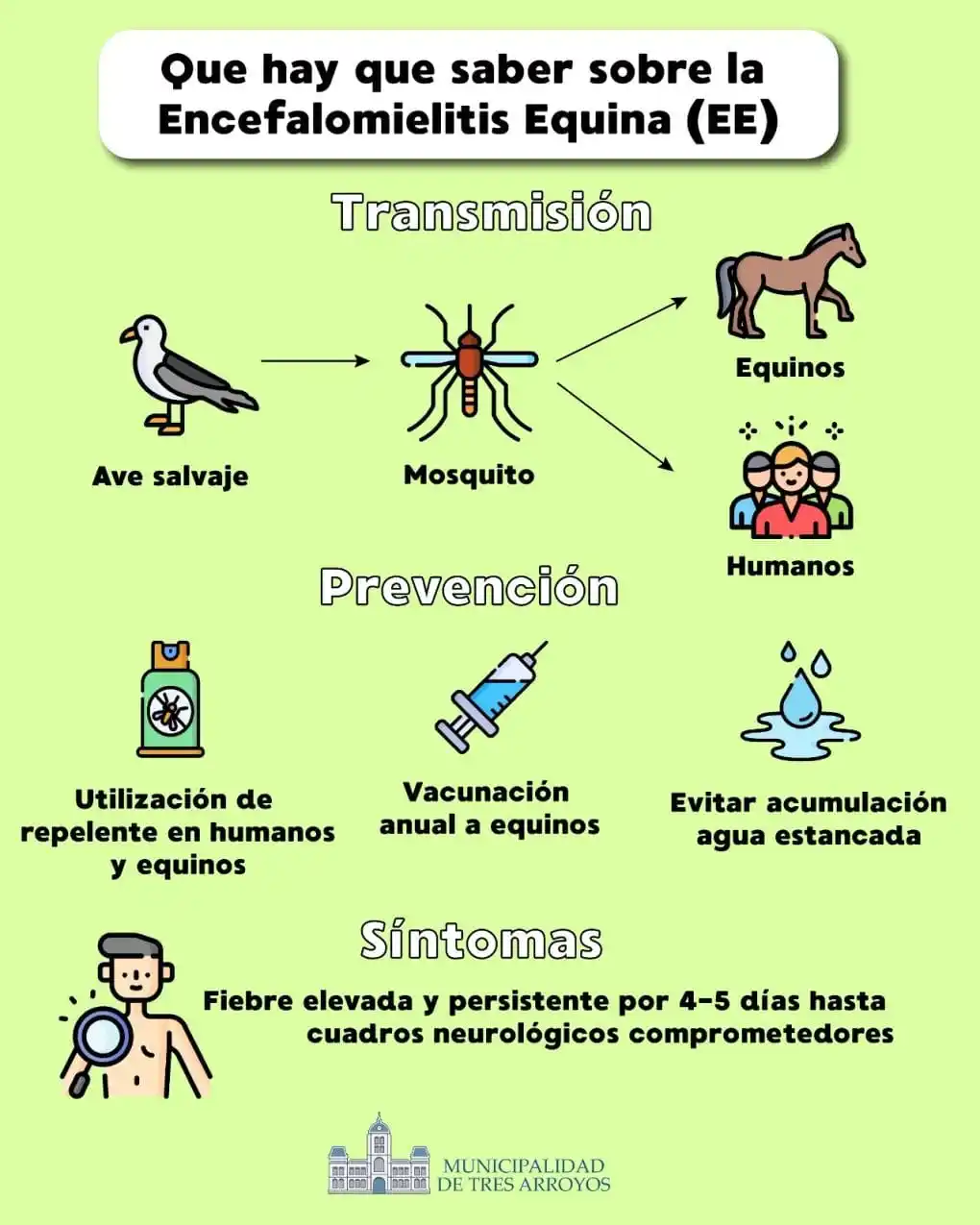 Hay dos casos de encefalomielitis equina en Tres Arroyos: llegaron vacunas