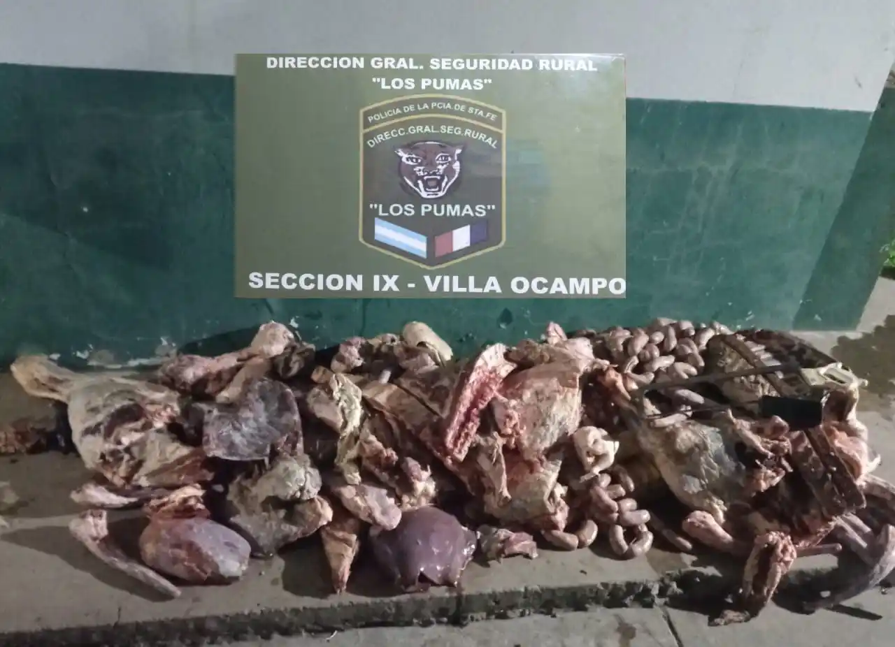 Villa Ocampo: secuestraron 170 kilos de carne de dudosa procedencia en una carnicería