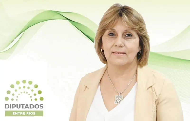 Quedó confirmada una sentencia civil contra la diputada Liliana Salinas