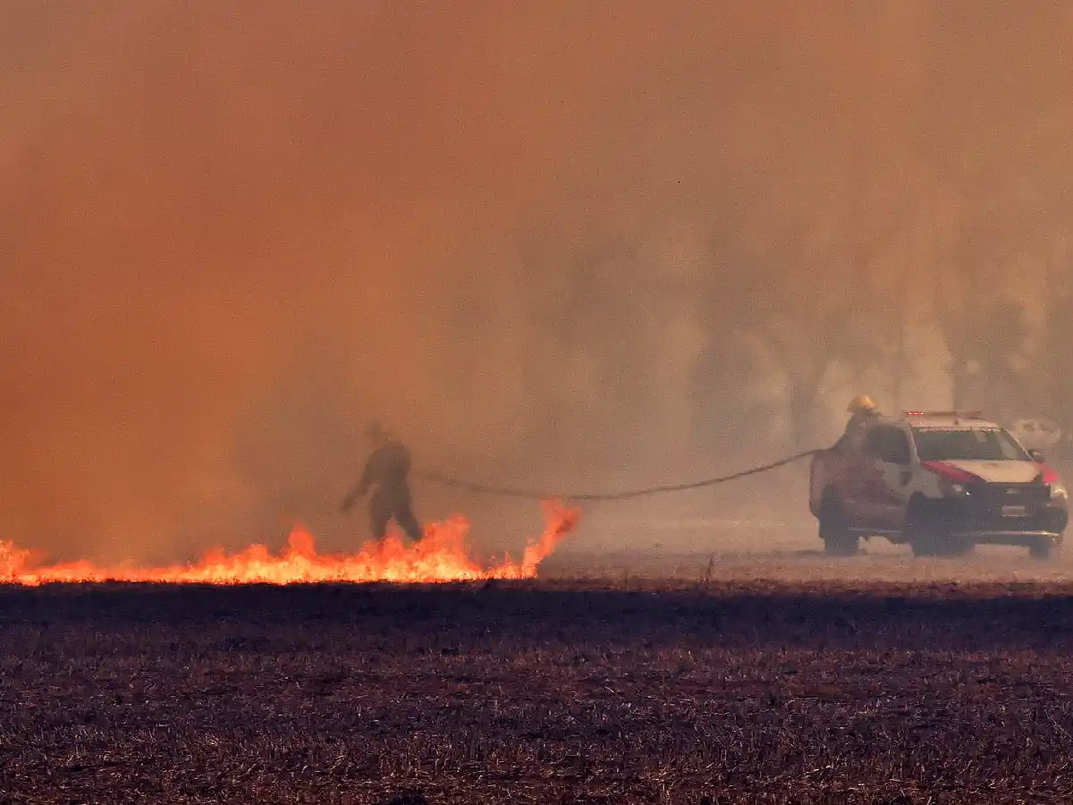 Otro incendio en el sector  sur movilizó a los bomberos