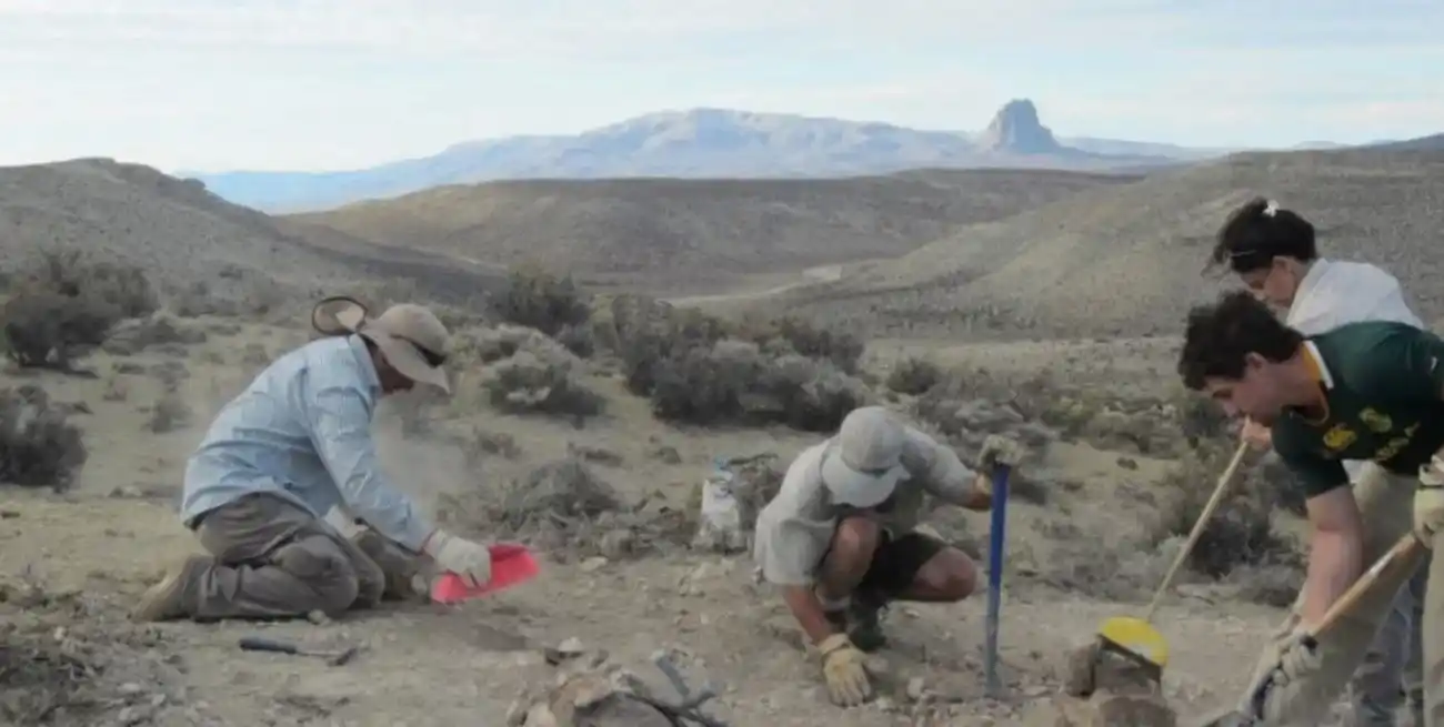 Descubrieron en Chubut una nueva especie de dinosaurio que vivió hace más de 150 millones de años