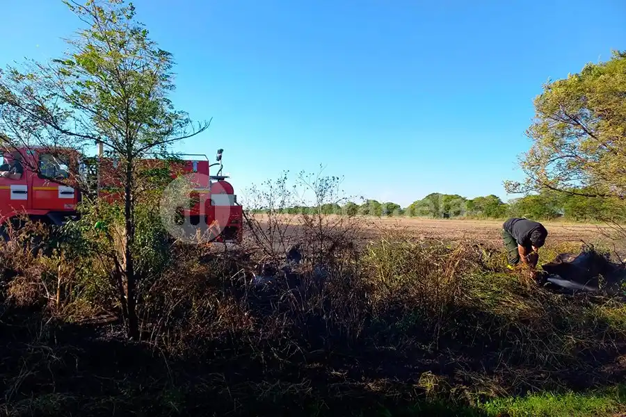 Luego de casi dos horas de trabajo, bomberos sofocaron un incendio en un campo de la región