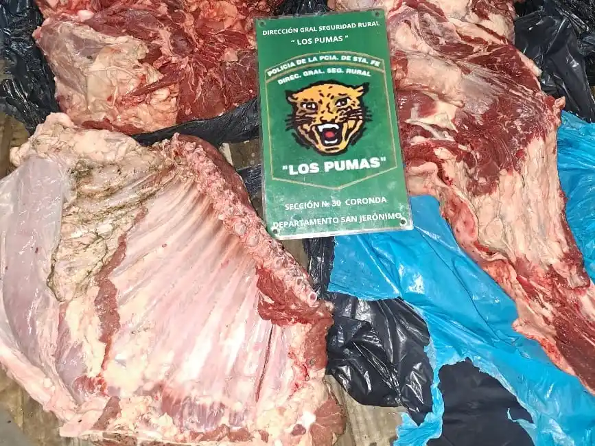 Lo atraparon con más de 60kg de carne faenada en una isla de Coronda