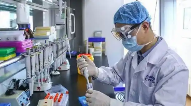 Nelly y Erik así denominan los científicos las dos nuevas mutaciones de la COVID-19