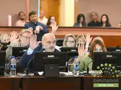 Diputados reclamó la actualización de fondos de Salto Grande para Concordia