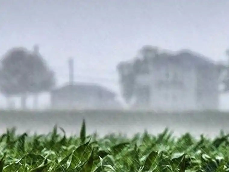 Beneficio. La lluvia que cayó trajo algo de alivio a los suelos productivos