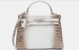 Esta es la cartera más cara del mundo y la tiene Georgina Rodriguez