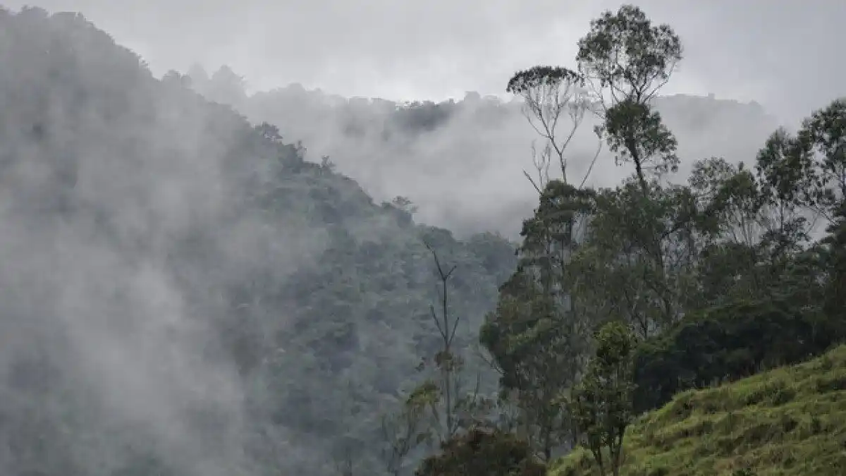 ¡DESESPERO! Angustiosa búsqueda de 4 NIÑOS DESAPARECIDOS en la selva