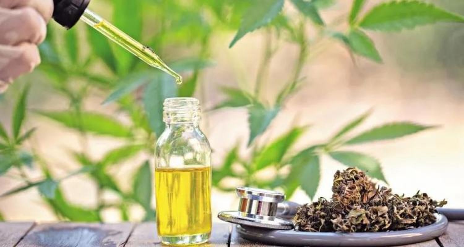 Cannabis medicinal: diserta el experto de un laboratorio uruguayo con intenciones de instalarse en San Pedro